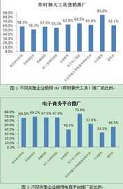 中國(guó)互聯(lián)網(wǎng)絡(luò)信息中心與互聯(lián)網(wǎng)信息服務(wù)的核心作用